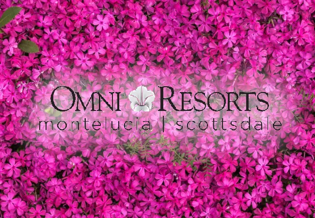 Omni Scottsdale Resort