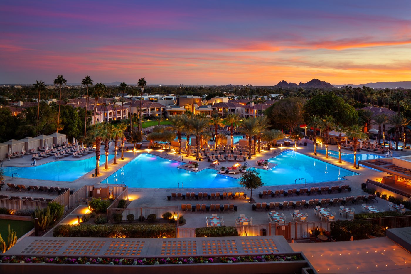 The Phoenician