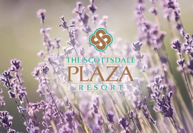 Scottsdale Plaza Resort